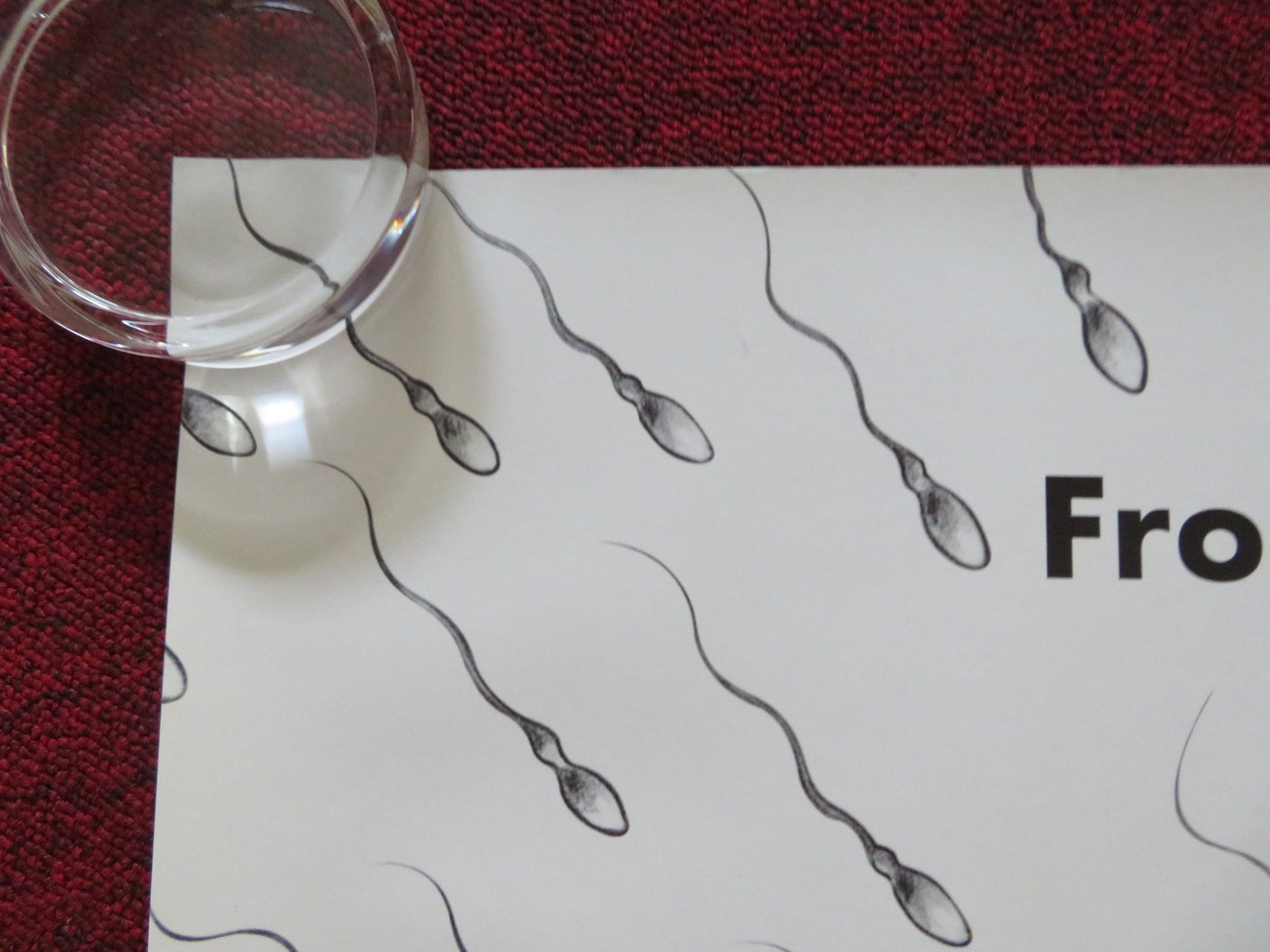 KNOCKED UP - B UK QUAD ROLLED POSTER SETH ROGEN KATHERINE HEIGL 2007 Rendezvous Cinema Movie posters