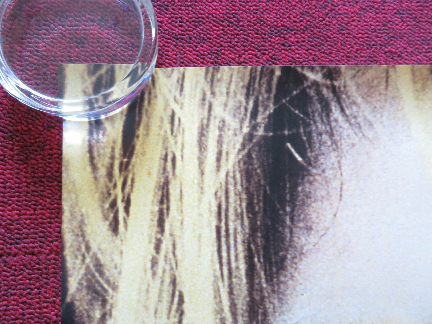 KURT & COURTNEY US ONE SHEET ROLLED POSTER KURT COBAIN COURTNEY LOVE 1998 Rendezvous Cinema Movie posters