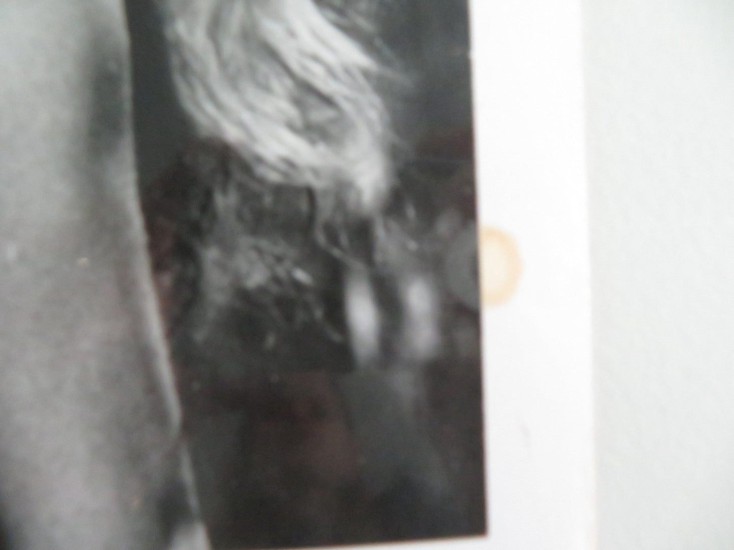 LA DOLCE VITA MOVIE STILL PHOTO LOT OF 5 ANITA EKBERG MARCELLO MASTROIANNI Movie posters