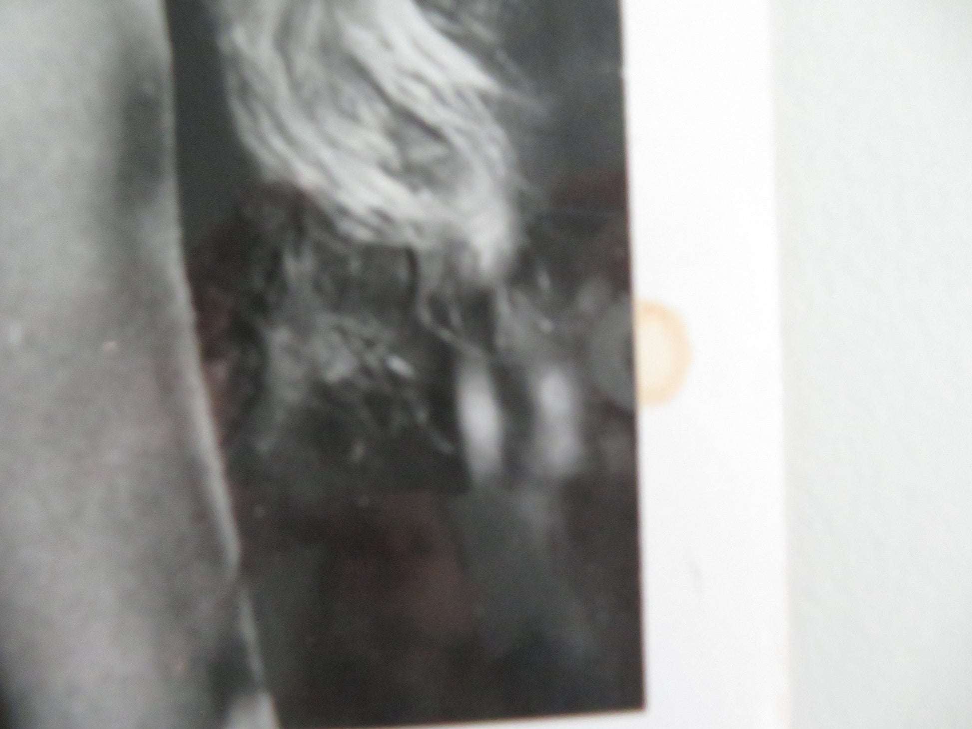 LA DOLCE VITA MOVIE STILL PHOTO LOT OF 5 ANITA EKBERG MARCELLO MASTROIANNI Movie posters