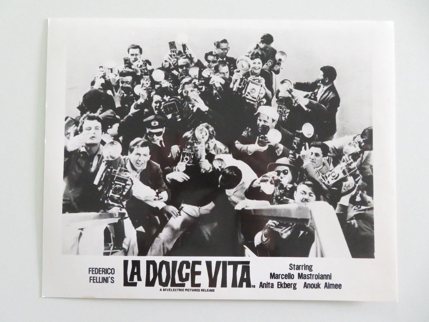 LA DOLCE VITA MOVIE STILL PHOTO LOT OF 5 ANITA EKBERG MARCELLO MASTROIANNI Movie posters