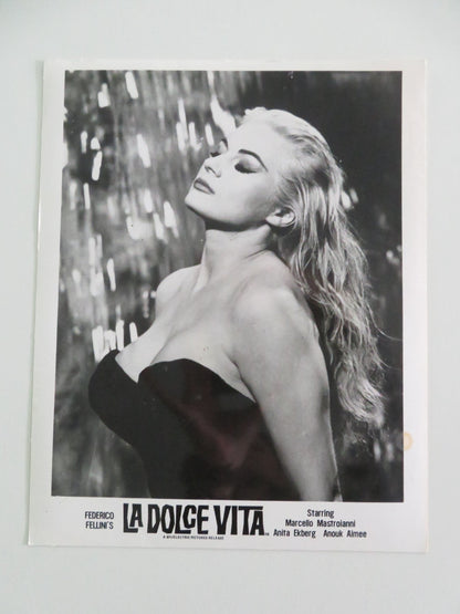 LA DOLCE VITA MOVIE STILL PHOTO LOT OF 5 ANITA EKBERG MARCELLO MASTROIANNI Movie posters