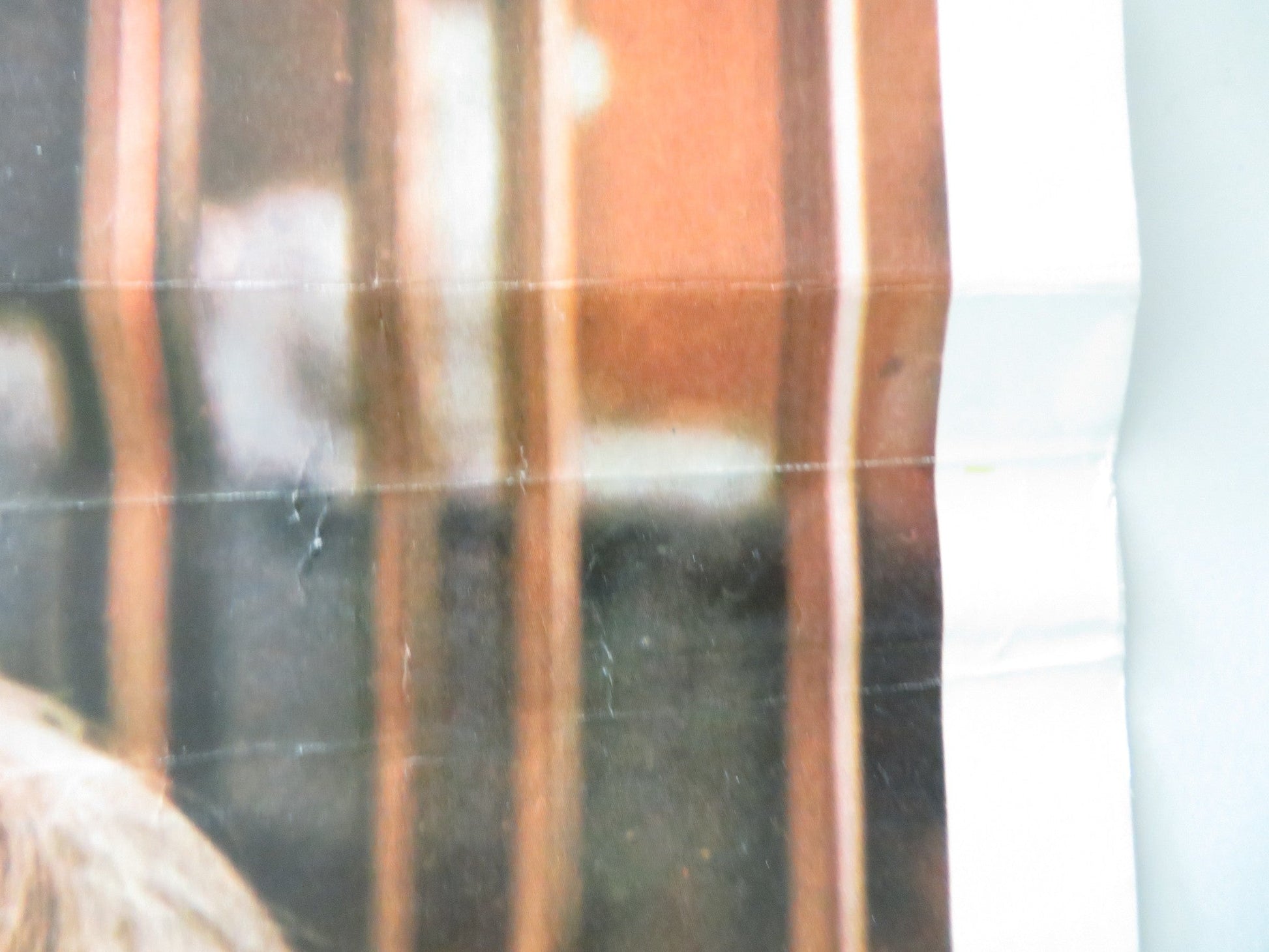 LA PRIMA VOLTA.. ITALIAN LOCANDINA POSTER OLE SOLTOFT GHITA NORBY 1970 Movie posters