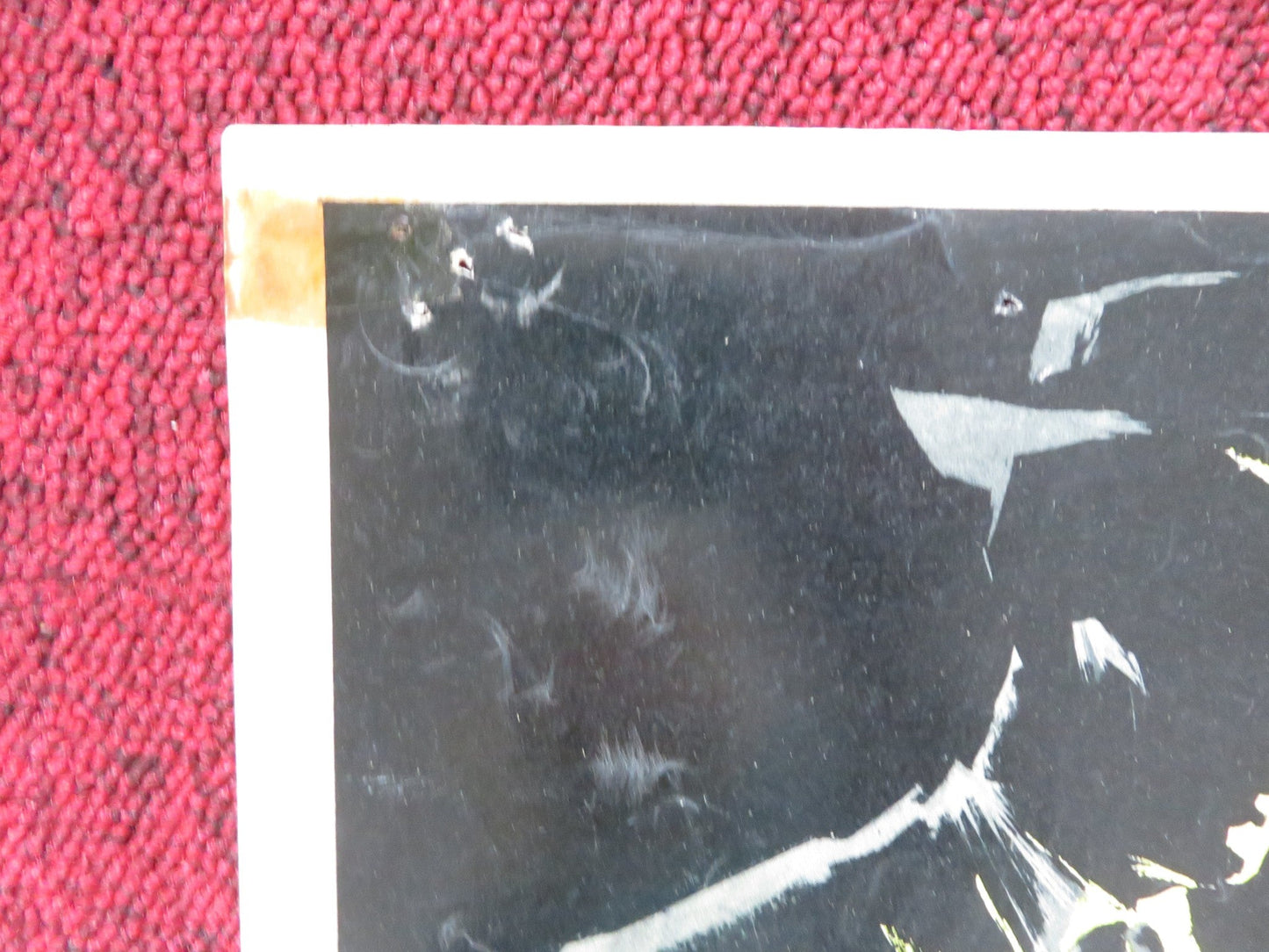 LA RAGAZZA DAGLI OCCHI DI GATTO - A ITALIAN FOTOBUSTA POSTER VERA TSCHECHOWA 1960 Rendezvous Cinema Movie posters