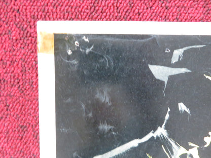 LA RAGAZZA DAGLI OCCHI DI GATTO - A ITALIAN FOTOBUSTA POSTER VERA TSCHECHOWA 1960 Rendezvous Cinema Movie posters