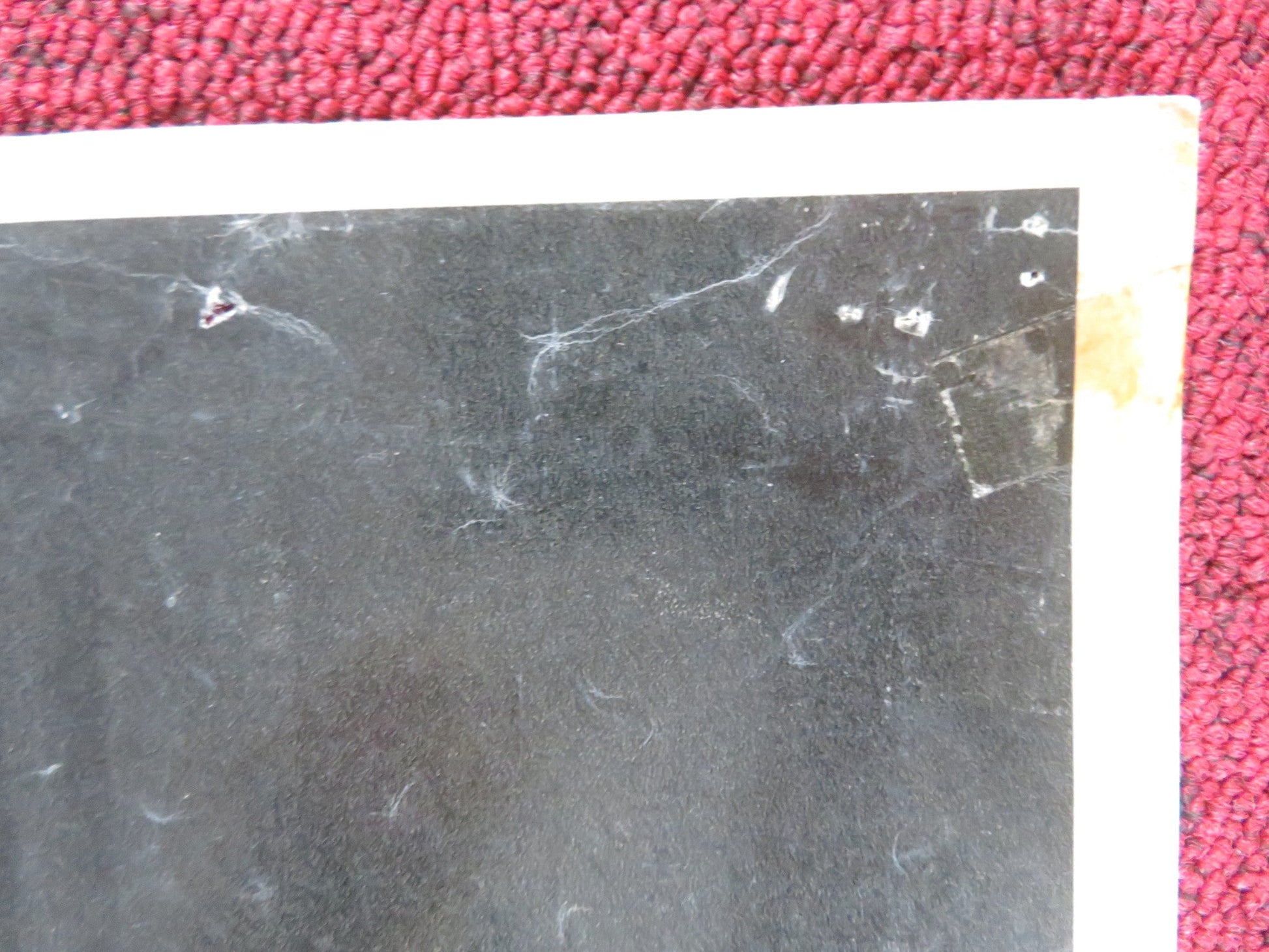 LA RAGAZZA DAGLI OCCHI DI GATTO - A ITALIAN FOTOBUSTA POSTER VERA TSCHECHOWA 1960 Rendezvous Cinema Movie posters