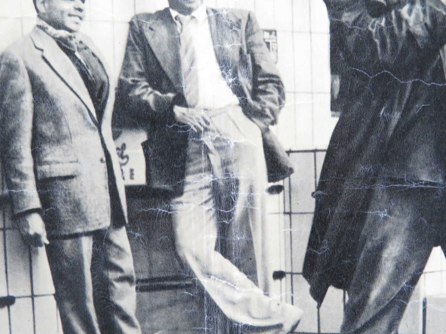 LA RAGAZZA DAGLI OCCHI DI GATTO - C ITALIAN FOTOBUSTA POSTER VERA TSCHECHOWA 1960 Rendezvous Cinema Movie posters