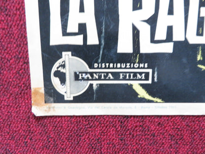 LA RAGAZZA DAGLI OCCHI DI GATTO - C ITALIAN FOTOBUSTA POSTER VERA TSCHECHOWA 1960 Rendezvous Cinema Movie posters