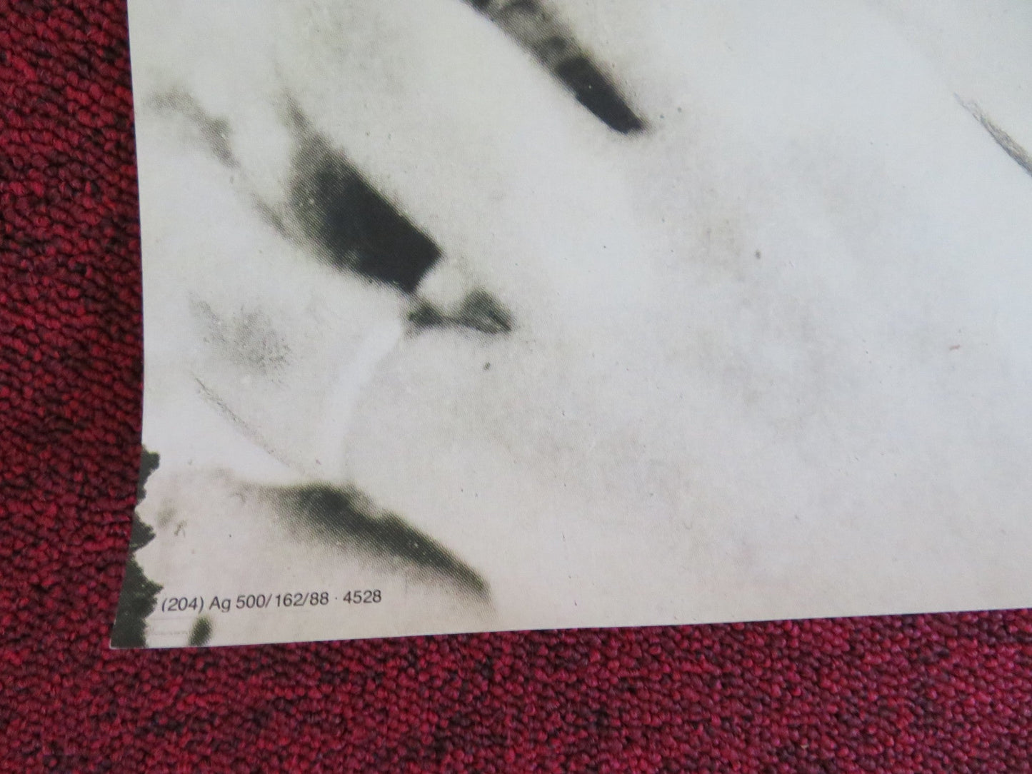 LA SPOSA ERA BELLISSIMA GERMAN POSTER ROLLED ANGELA MOLINA MASSIMO GHINI 1987 Rendezvous Cinema Movie posters