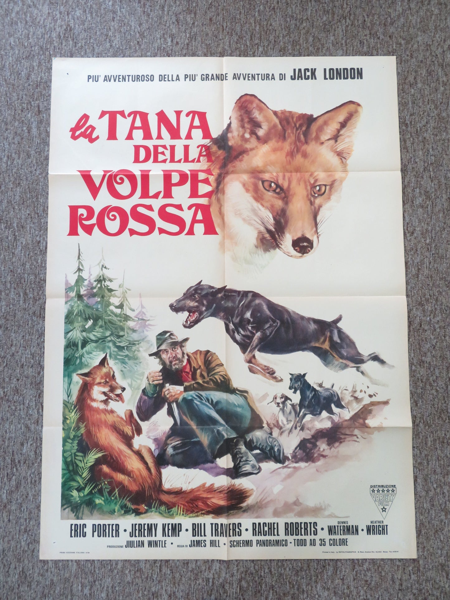 La tana della volpe rossa Italian 2 Foglio Poster Eric Porter Jeremy Kemp 1974 Movie posters