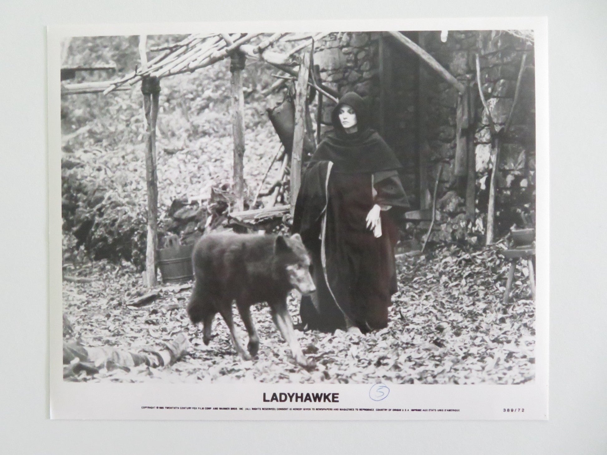 LADYHAWKE MOVIE STILL PHOTO LOT OF 7 MATTHEW BRODERICK RUTGER HAUER 1985 Movie posters