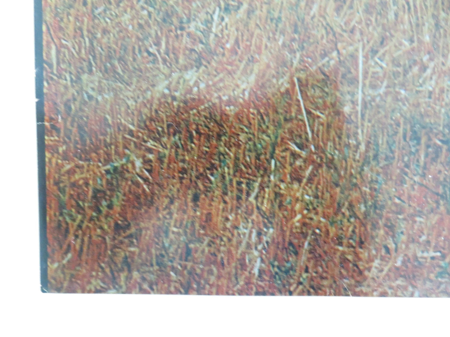 L'AMICA - G ITALIAN FOTOBUSTA POSTER LISA GASTONI GABRIELE FERZETTI 1969 Movie posters