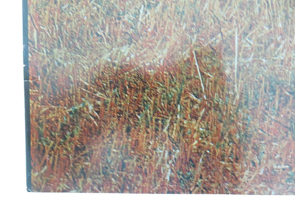 L'AMICA - G ITALIAN FOTOBUSTA POSTER LISA GASTONI GABRIELE FERZETTI 1969 Movie posters