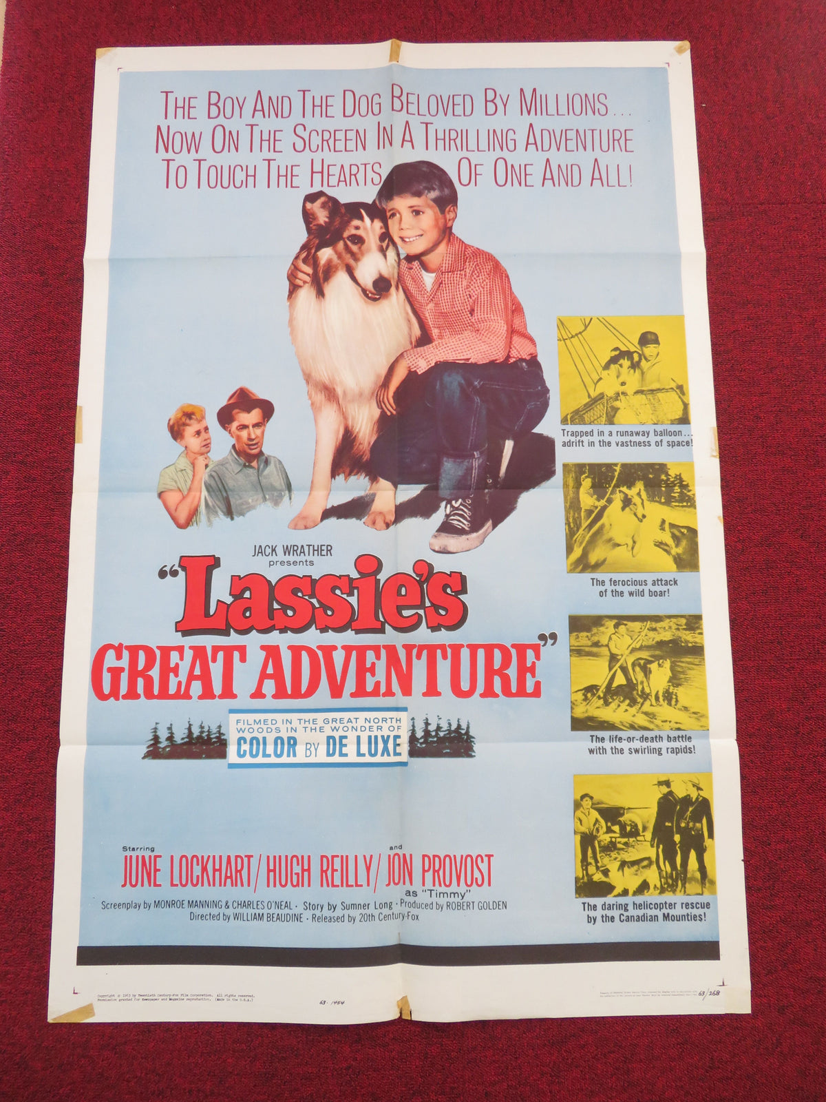 Lassie's Great Adventure Folded US One Sheet Poster June Lockhart 1963 Movie posters
