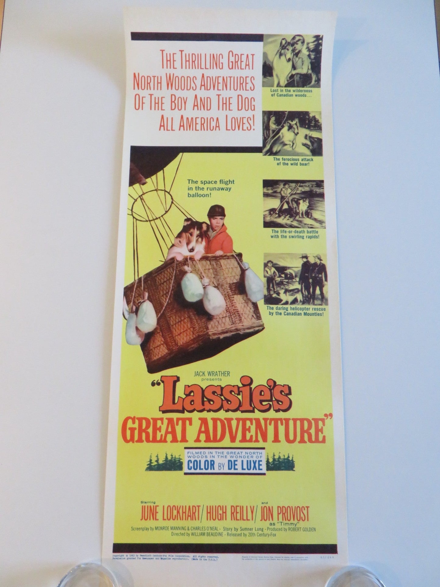 LASSIE'S GREAT ADVENTURE US INSERT POSTER JUNE LOCKHART HUGH REILLY 1963 Rendezvous Cinema Movie posters