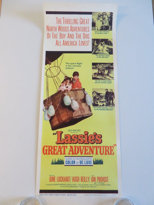 LASSIE'S GREAT ADVENTURE US INSERT POSTER JUNE LOCKHART HUGH REILLY 1963 Rendezvous Cinema Movie posters