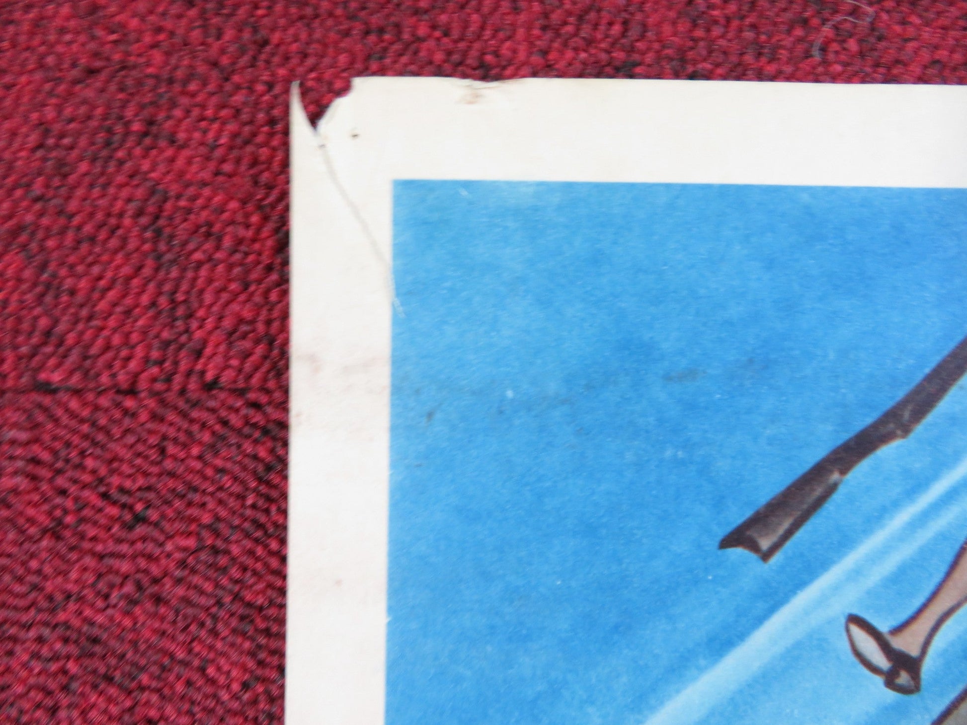 LAY THAT RIFLE DOWN US INSERT POSTER JUDY CANOVA ROBERT LOWERY 1955 Rendezvous Cinema Movie posters