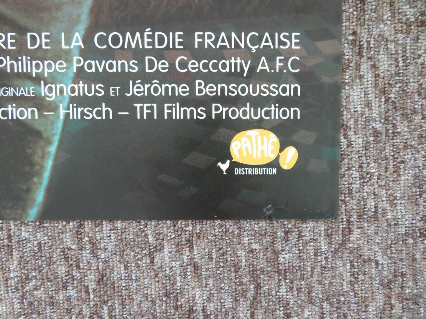 Le bison (et sa voisine Dorine) French Grande Poster Isabelle Nanty E. Baer 2003 Movie posters
