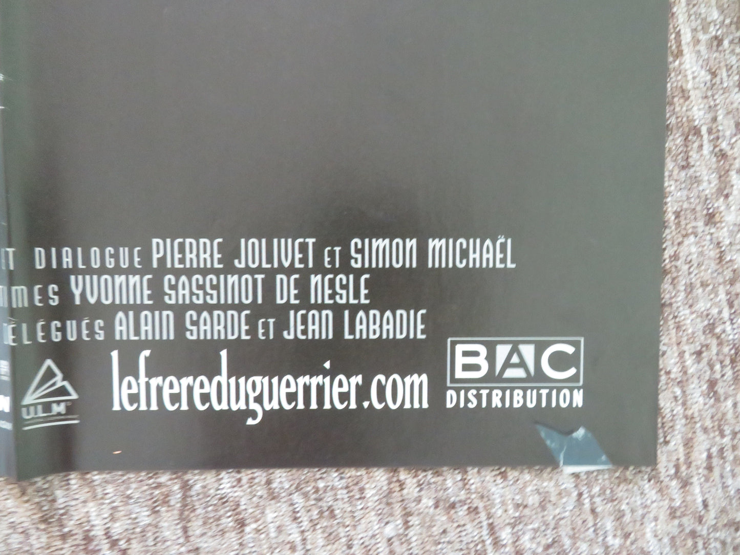 Le frère du guerrier French Grande Poster Vincent Landon Guillaume Canet 2002 Movie posters