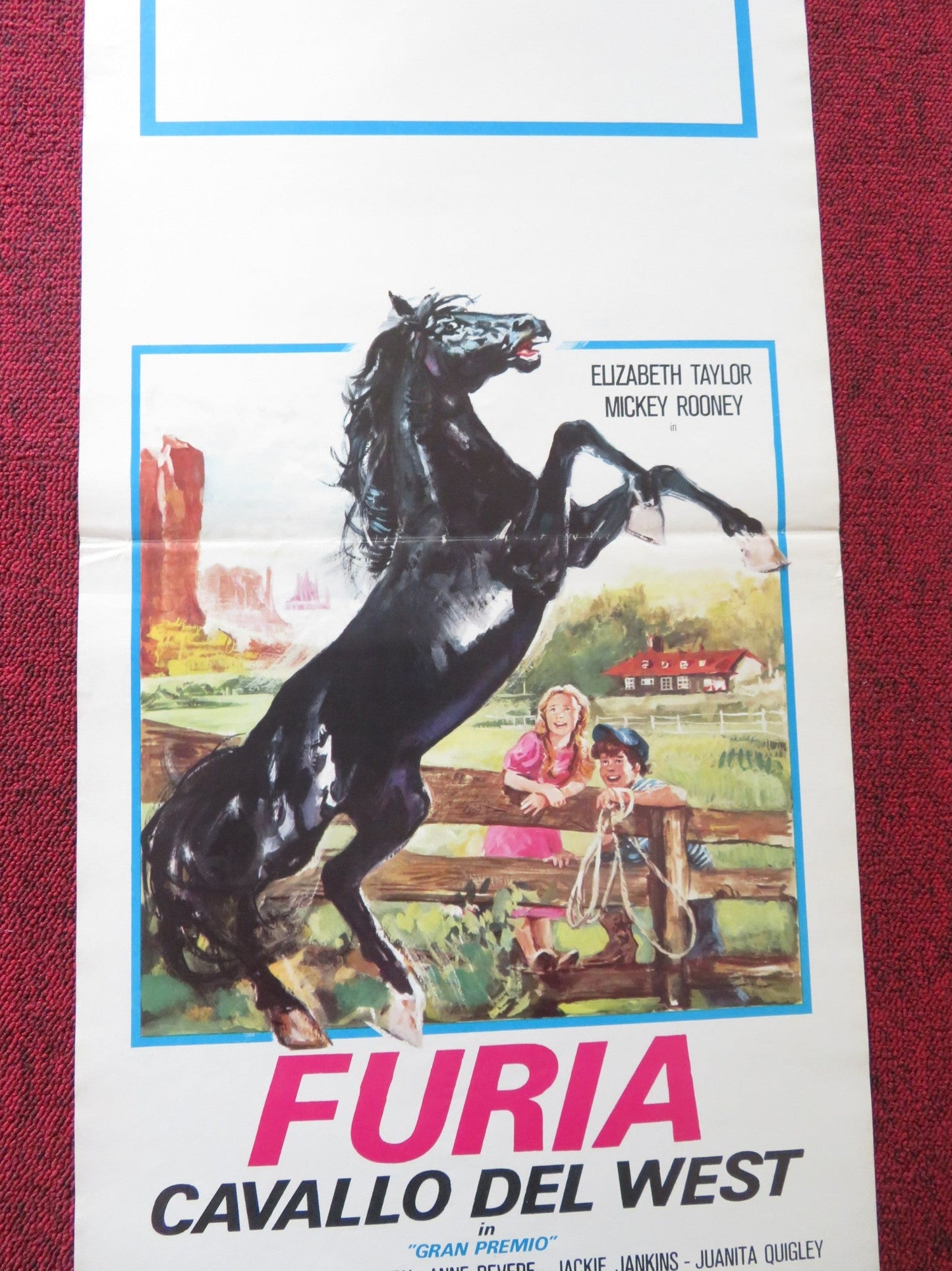 LE NUOVE AVVENTURE DI FURIA - B ITALIAN LOCANDINA POSTER ROBERT DIAMOND 1977 Rendezvous Cinema Movie posters