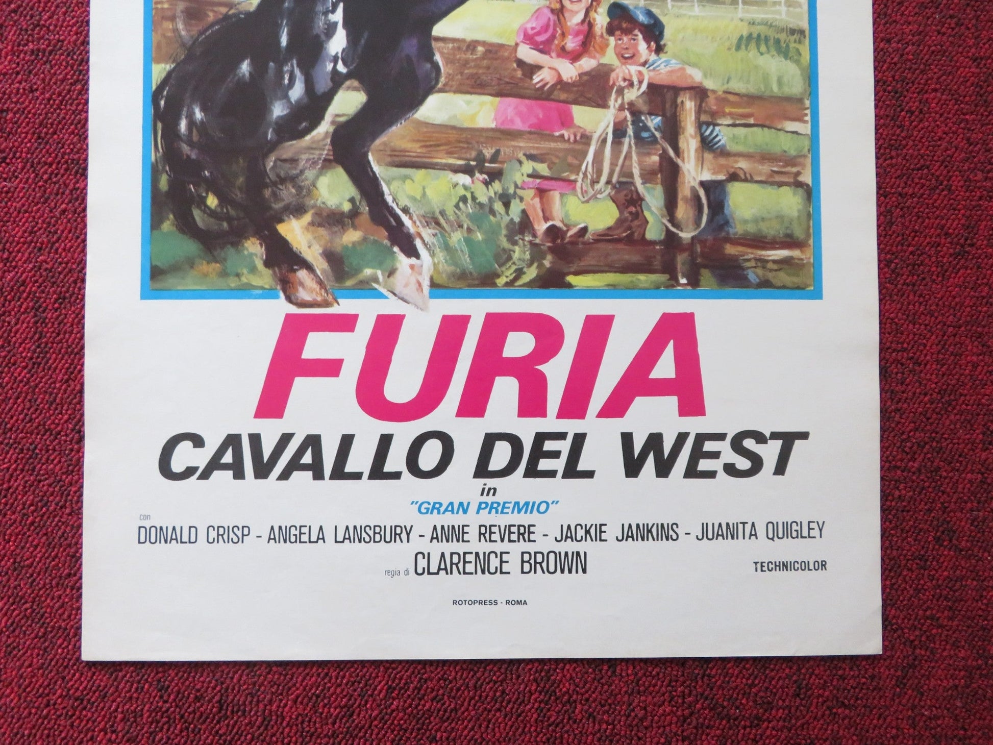LE NUOVE AVVENTURE DI FURIA - B ITALIAN LOCANDINA POSTER ROBERT DIAMOND 1977 Rendezvous Cinema Movie posters