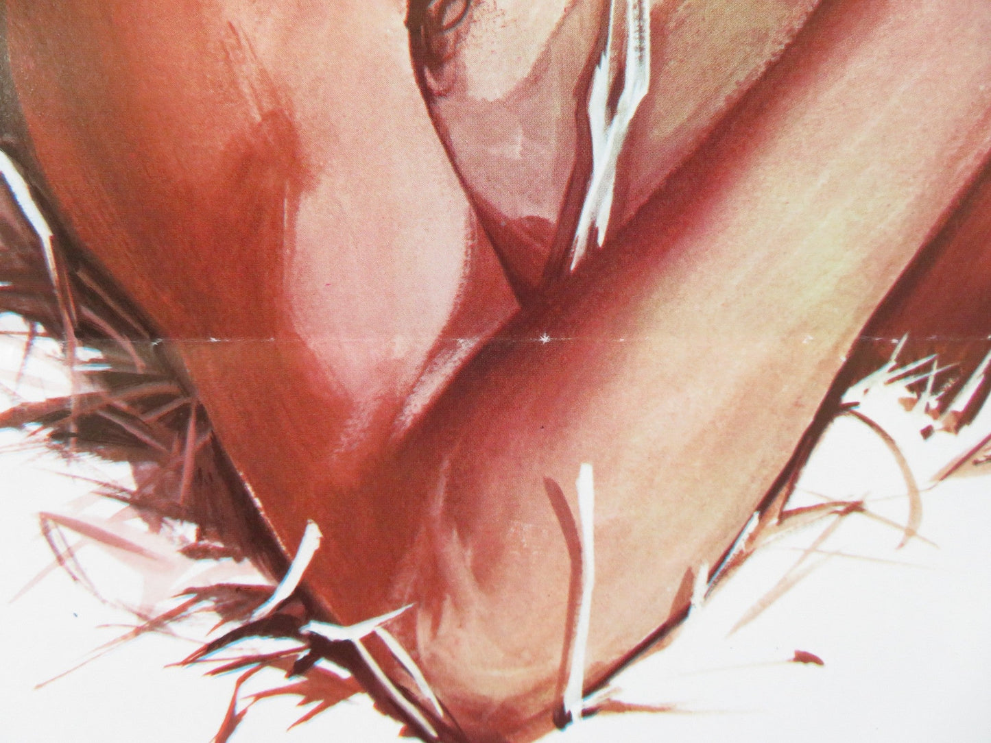 LE PORNOCONTADINE ITALIAN LOCANDINA POSTER RINALDO TALMONTI ELMA KARLOVA 1973 Rendezvous Cinema Movie posters