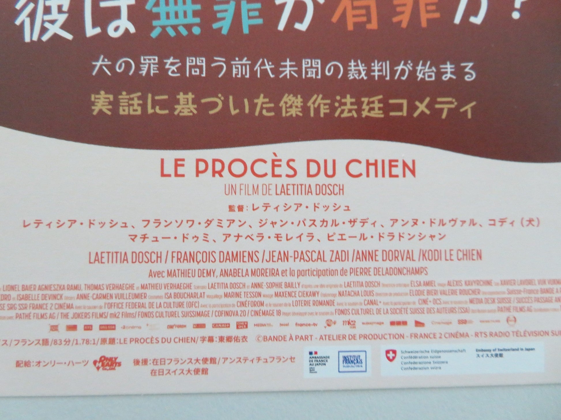 LE PROCES DU CHIEN JAPANESE CHIRASHI (B5) POSTER LAETITEA DOSCH DAMIENS 2024 Movie posters