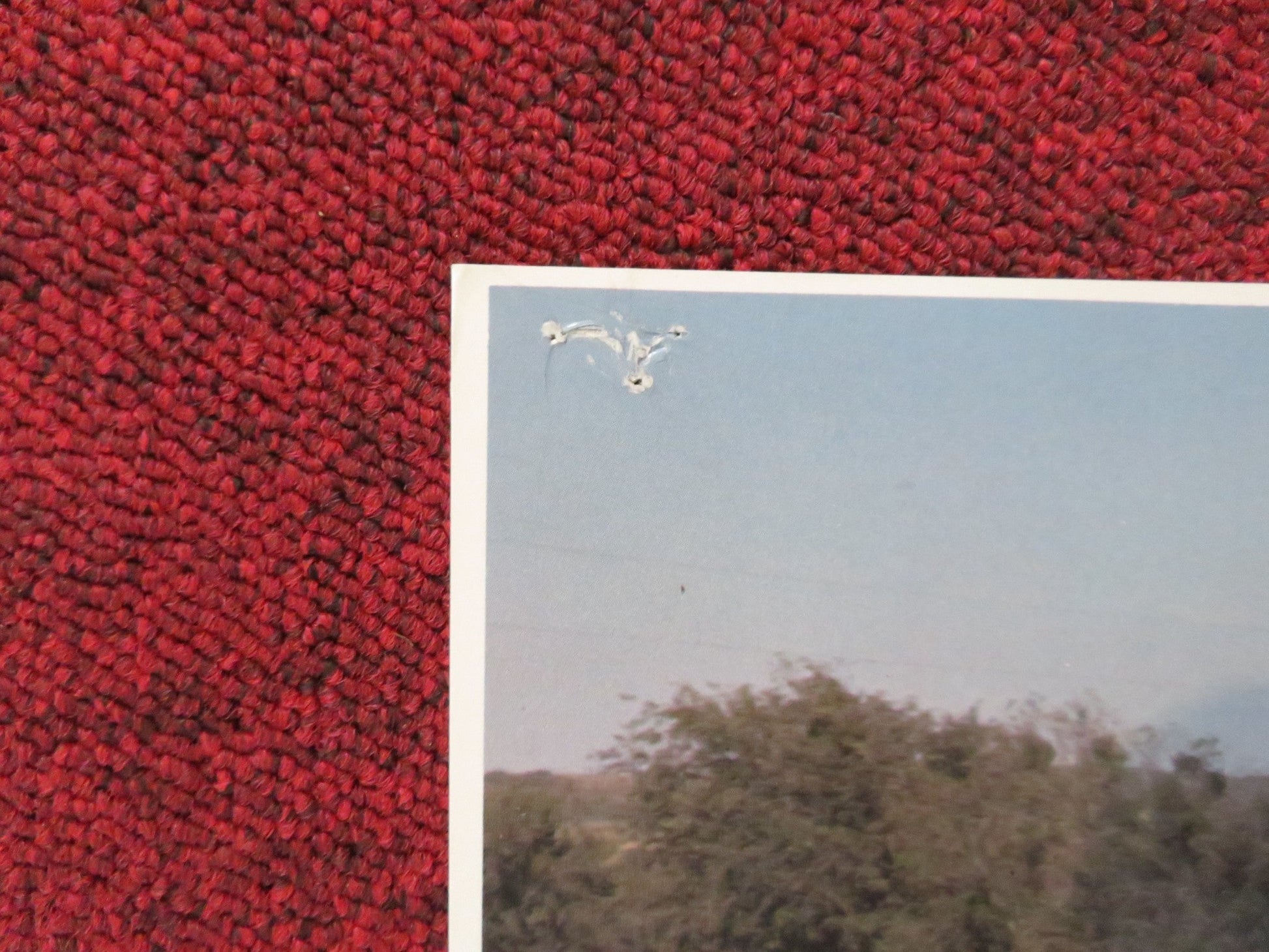 LEADBELLY - A LOBBY CARD ROGER E. MOSLEY JAMES BRODHEAD 1976 Rendezvous Cinema Movie posters