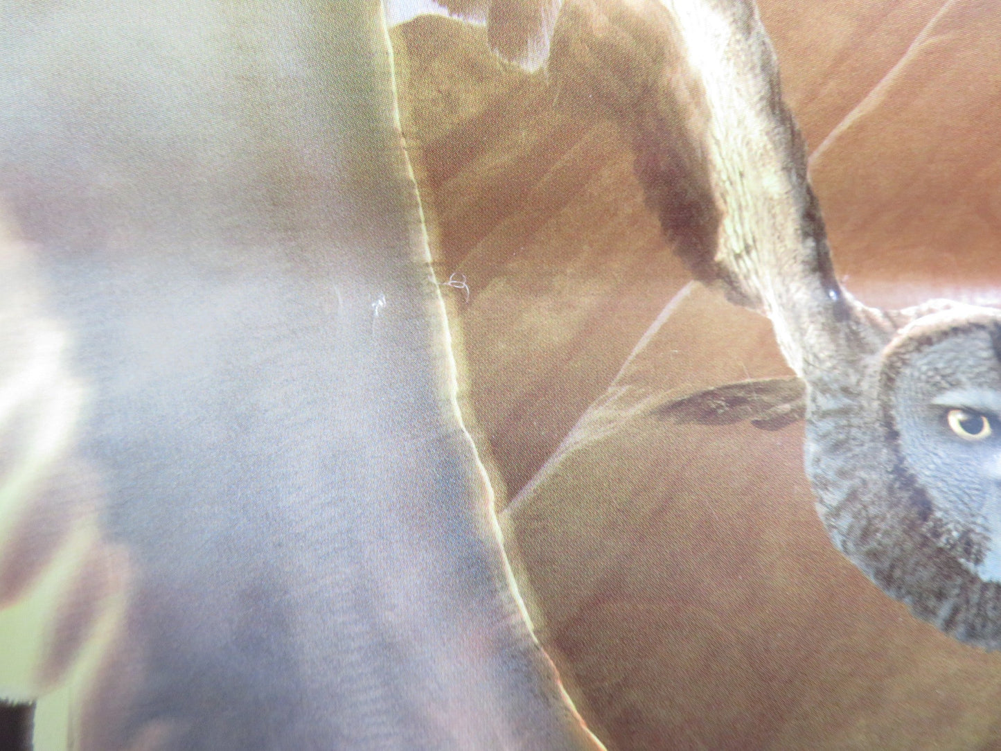 LEGEND OF THE GUARDIANS: THE OWLS OF GA'HOOLE ITALIAN LOCANDINA POSTER 2010 Rendezvous Cinema Movie posters