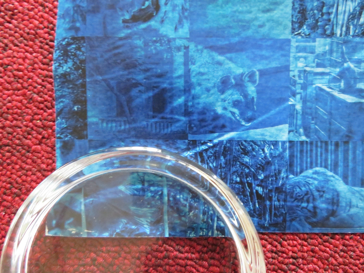 LIFE OF PI UK QUAD ROLLED POSTER SURAJ SHARMA IRRFAN KHAN 2012 Rendezvous Cinema Movie posters