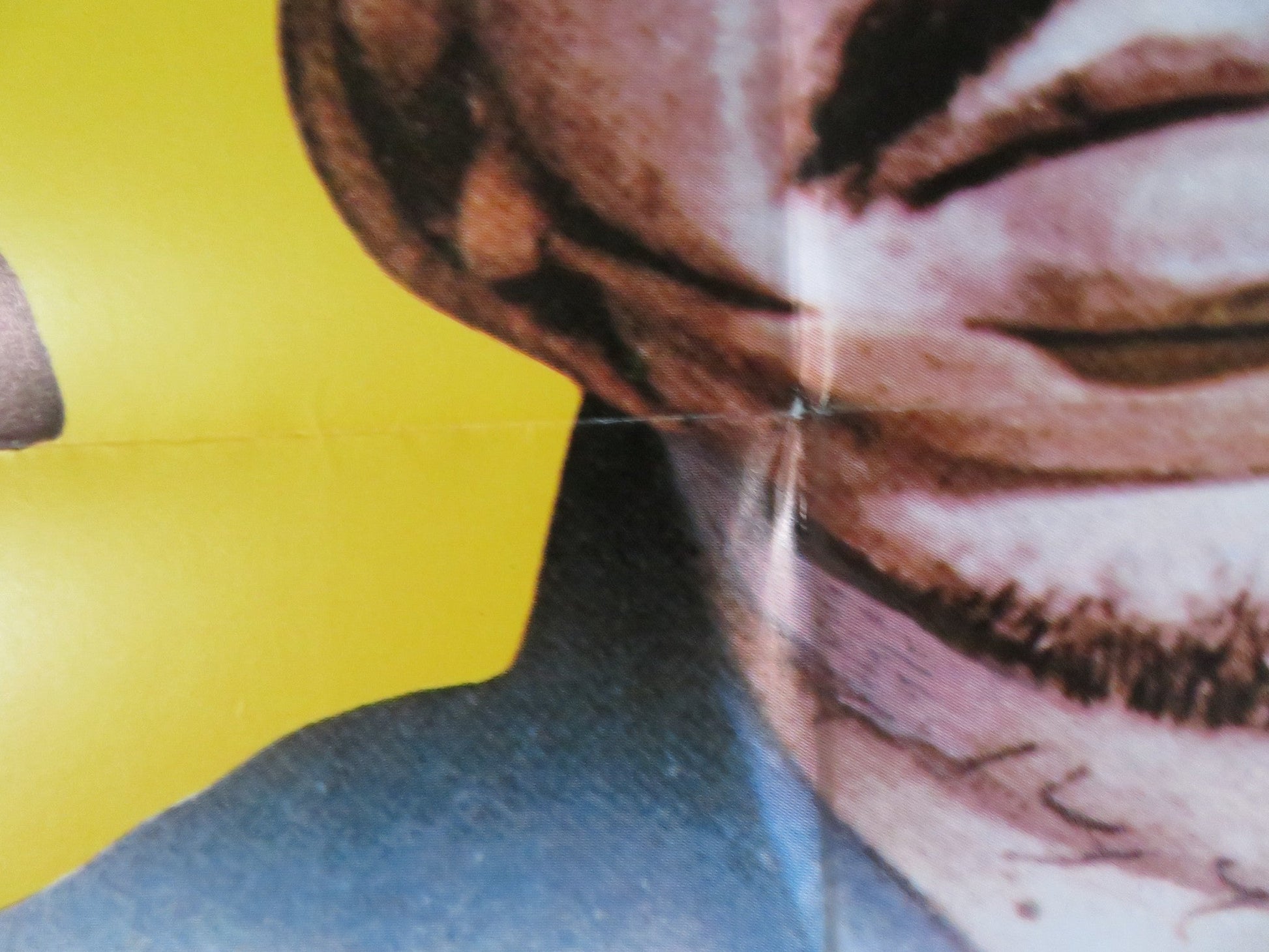 LING FUNG DAS GLORREICHE SCHWERT GERMAN A1 POSTER FOLDED T. WAKAYAMA 1973 Rendezvous Cinema Movie posters