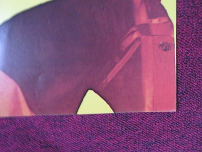 LING FUNG DAS GLORREICHE SCHWERT GERMAN A1 POSTER FOLDED T. WAKAYAMA 1973 Rendezvous Cinema Movie posters