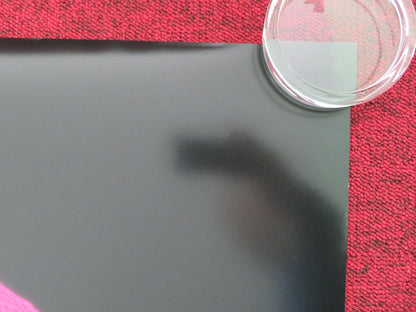 LISA FRANKENSTEIN - A US ONE SHEET ROLLED POSTER KATHRYN NEWTON MONTES 2024 Movie posters