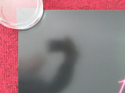 LISA FRANKENSTEIN - B US ONE SHEET ROLLED POSTER KATHRYN NEWTON MONTES 2024 Movie posters