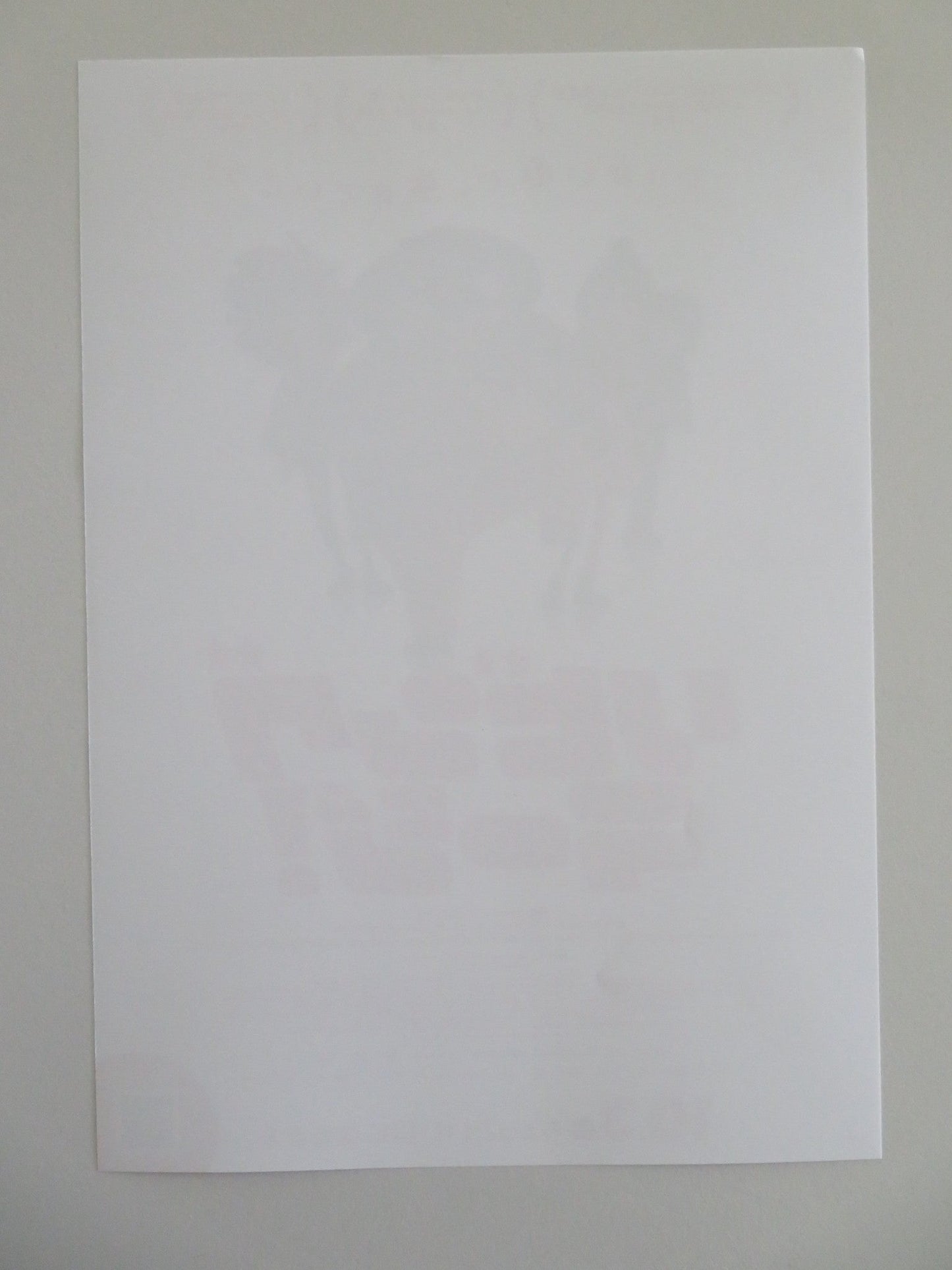 LIVING LARGE JAPANESE CHIRASHI (B5) POSTER HUGO COVACS SEBASTIAN POTHE 2024 Movie posters