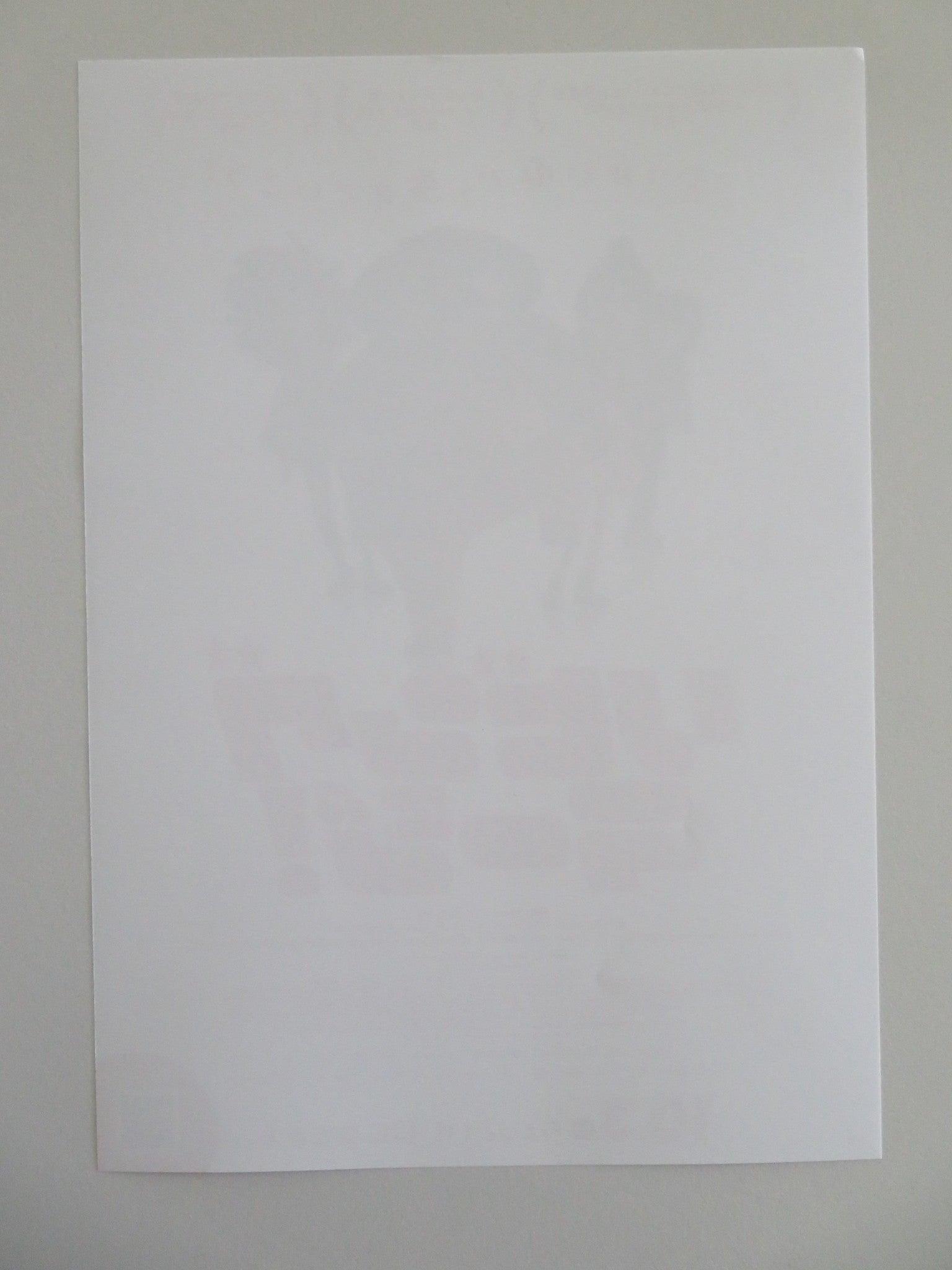 LIVING LARGE JAPANESE CHIRASHI (B5) POSTER HUGO COVACS SEBASTIAN POTHE 2024 Movie posters