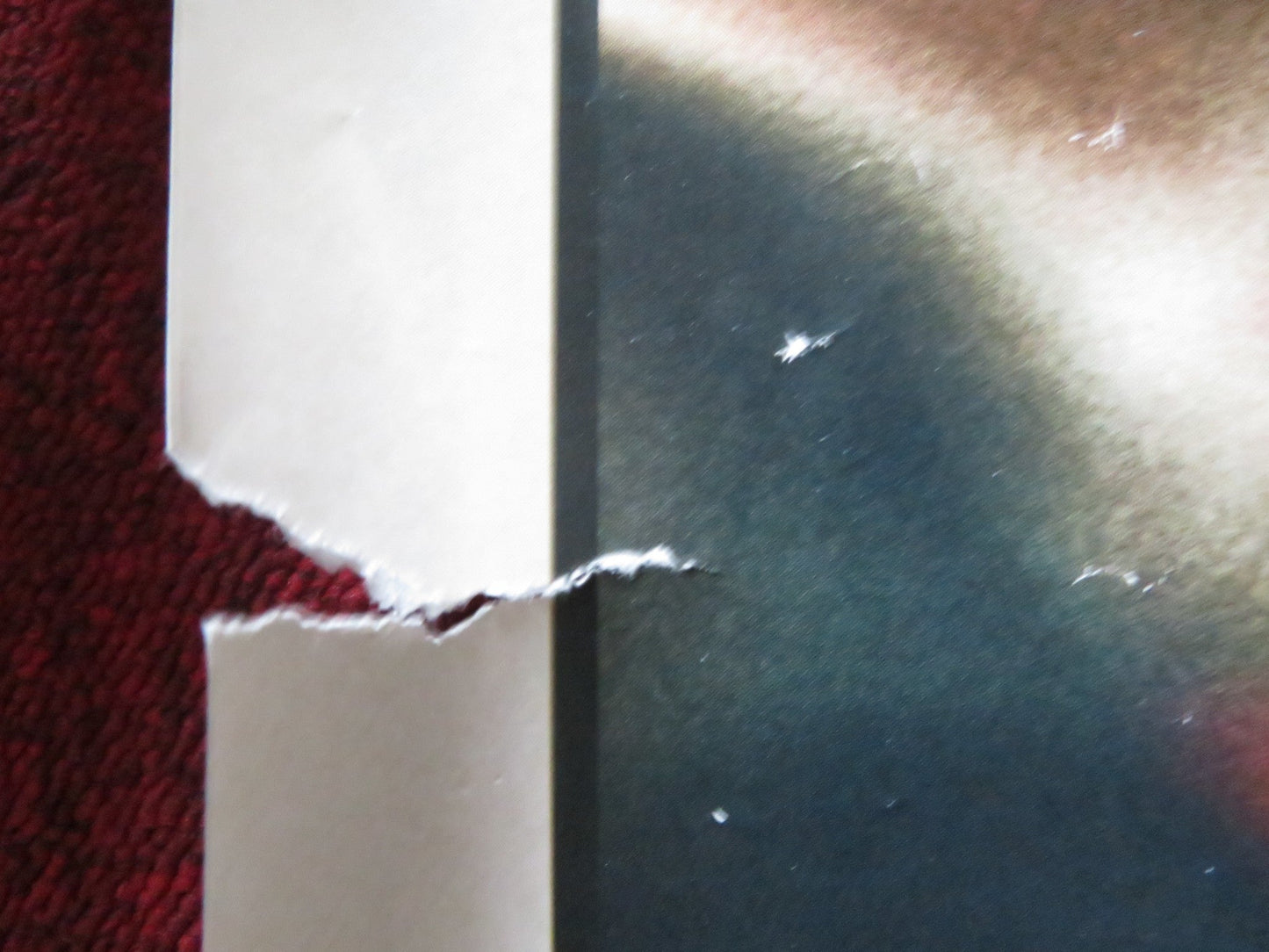 LIVING UK QUAD ROLLED POSTER BILL NIGHY ALEX SHARP 2022 Rendezvous Cinema Movie posters