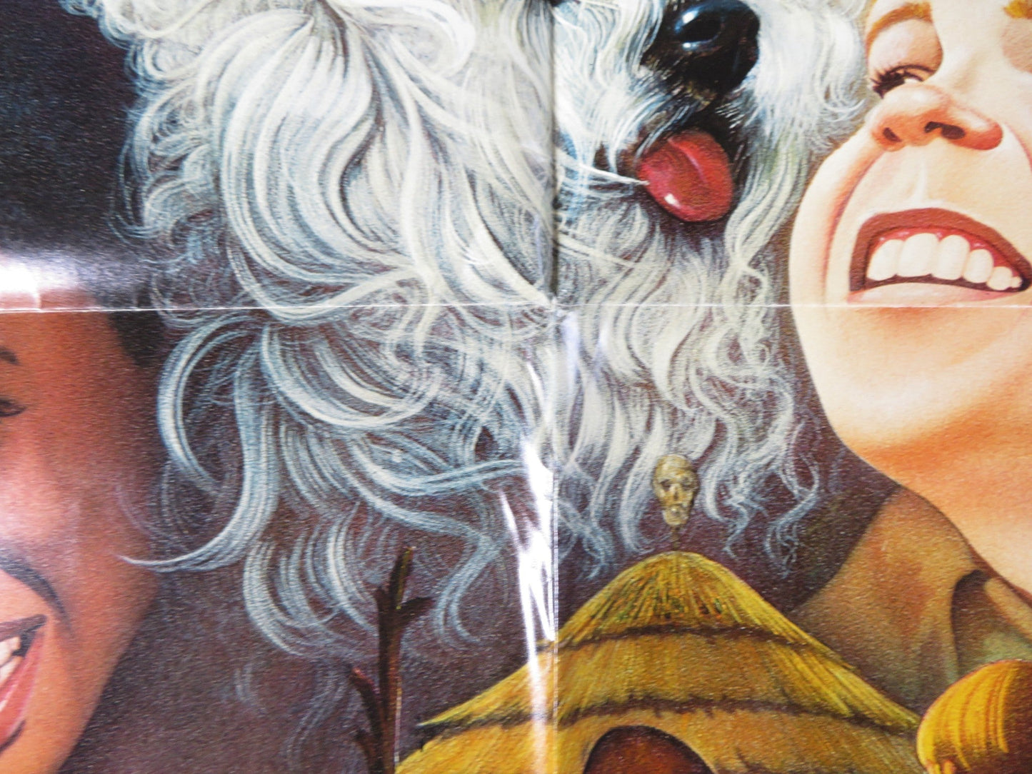 LOLLIPOP / FOREVER YOUNG, FOREVER FREE FOLDED US ONE SHEET POSTER J. FERRER 1976 Rendezvous Cinema Movie posters