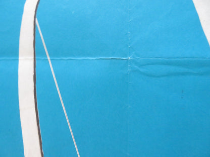 LONG LIVE ROBIN HOOD DANISH POSTER ROLLED GIULIANO GEMMA MARK DAMON 1971 Rendezvous Cinema Movie posters