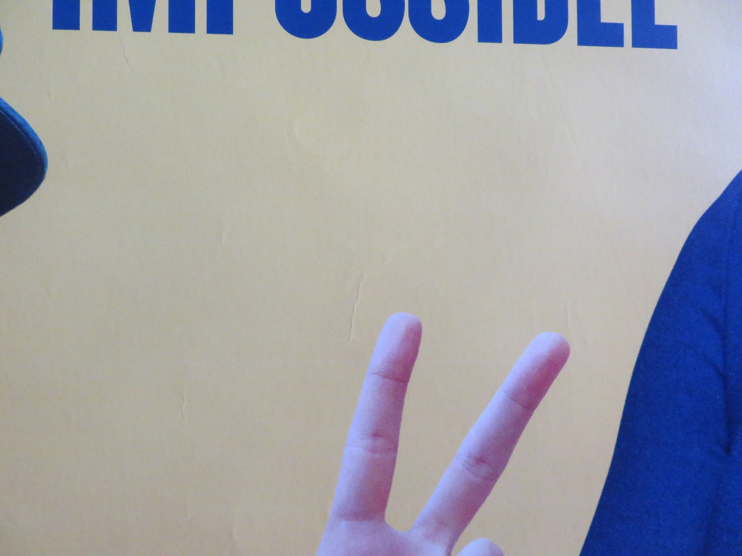 LONG SHOT US ONE SHEET ROLLED POSTER CHARLIZE THERON SETH ROGEN 2019 Rendezvous Cinema Movie posters