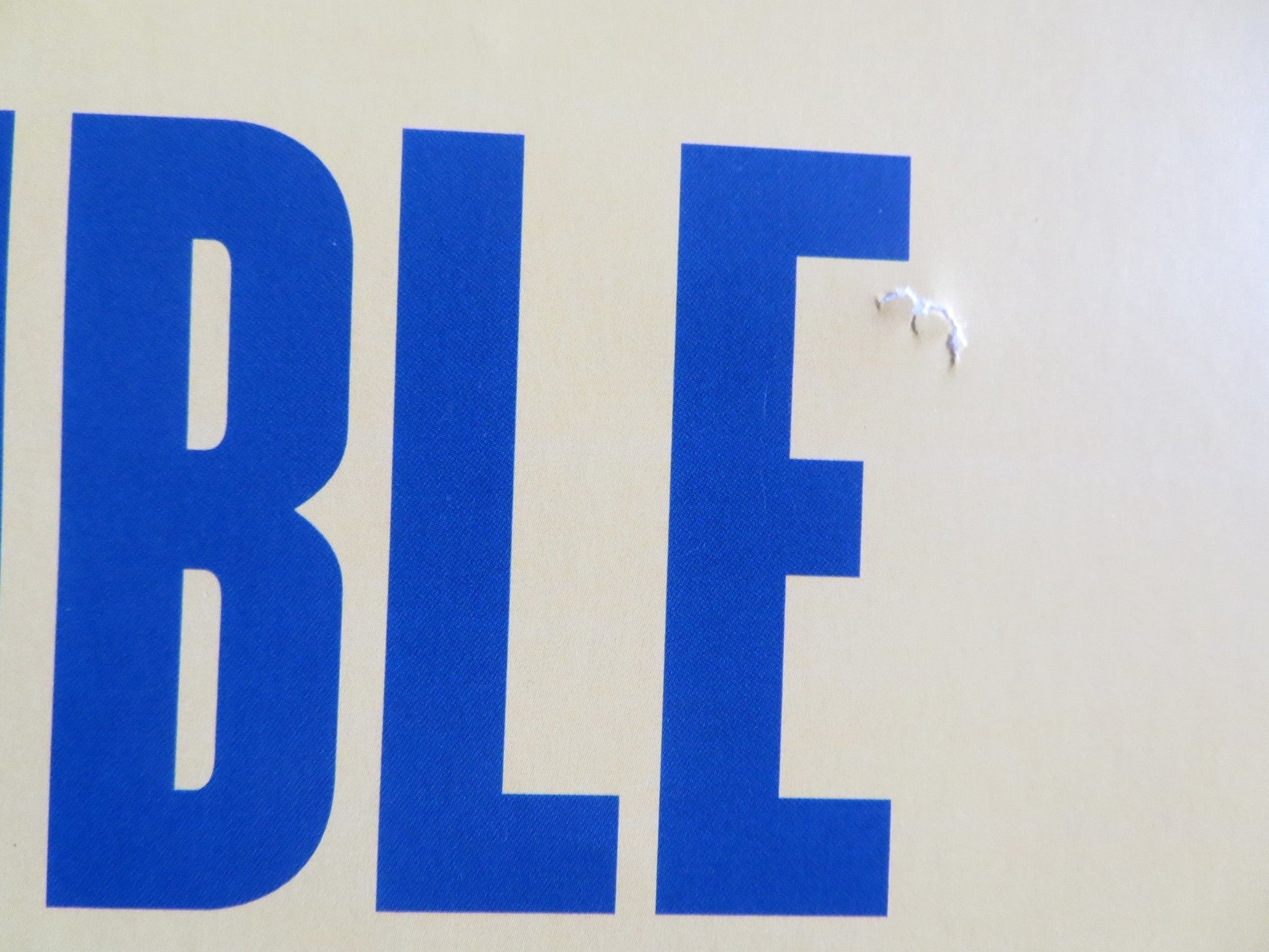 LONG SHOT US ONE SHEET ROLLED POSTER CHARLIZE THERON SETH ROGEN 2019 Rendezvous Cinema Movie posters