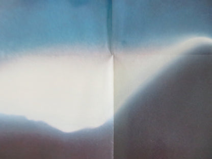 LOOKER FOLDED US ONE SHEET POSTER JAMES COBURN SUSAN DEY 1981 Movie posters