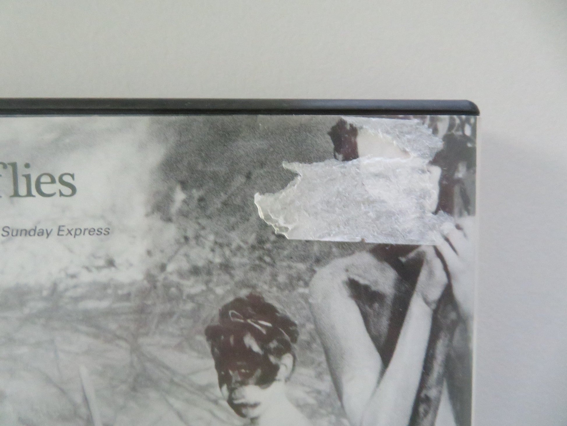 LORD OF THE FLIES (DVD) JAMES AUBREY TOM CHAPIN 1963 REGION 2 Movie posters