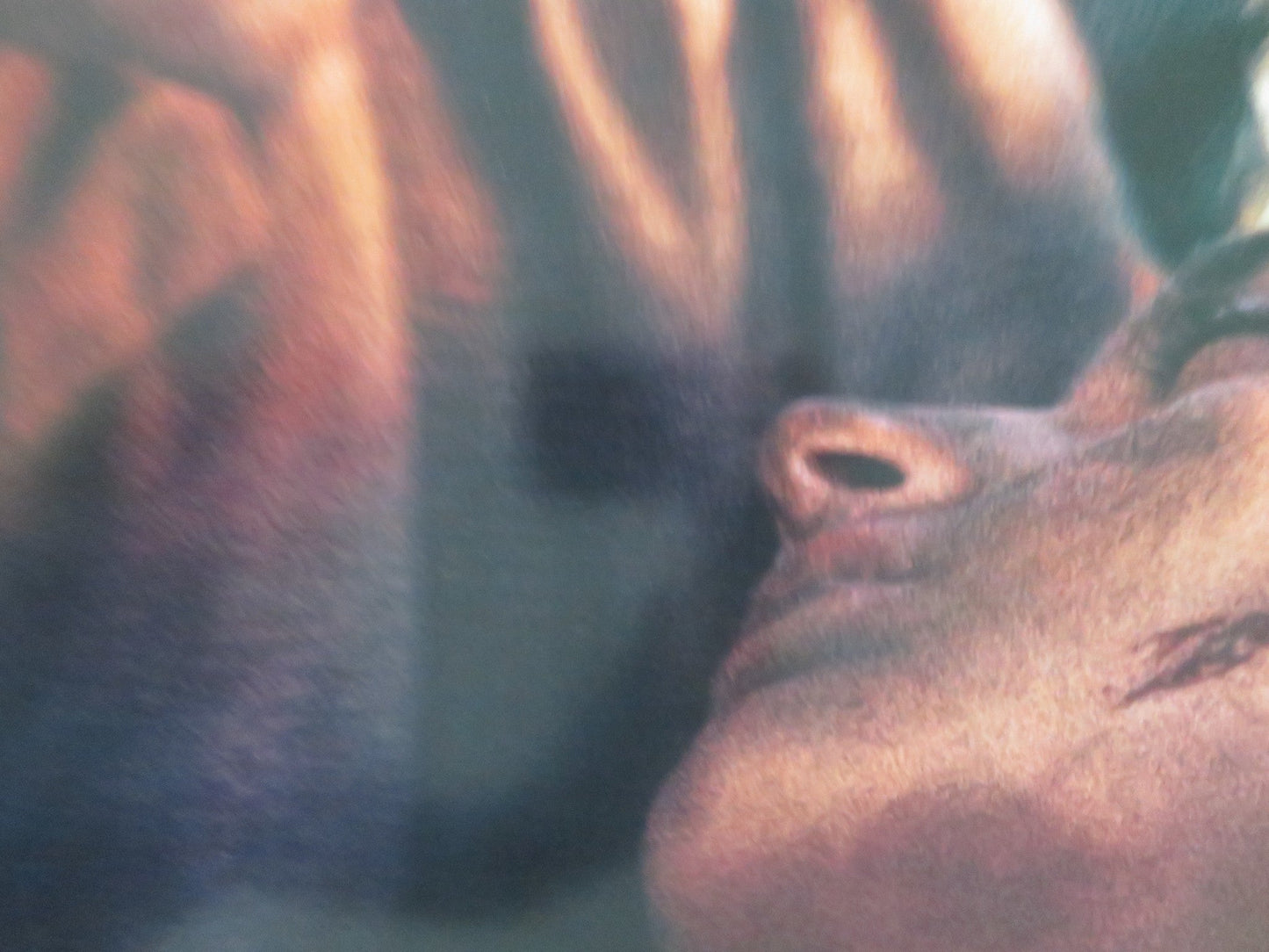 LORD OF THE RINGS: THE RETURN OF THE KING - D US ONE SHEET ROLLED POSTER 2003 Movie posters