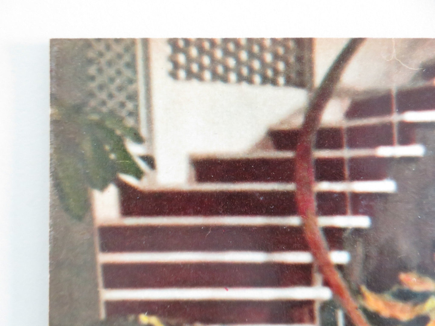 LOVE HAS MANY FACES - A ITALIAN FOTOBUSTA POSTER LANA TURNER C. ROBERTSON 1965 Rendezvous Cinema Movie posters