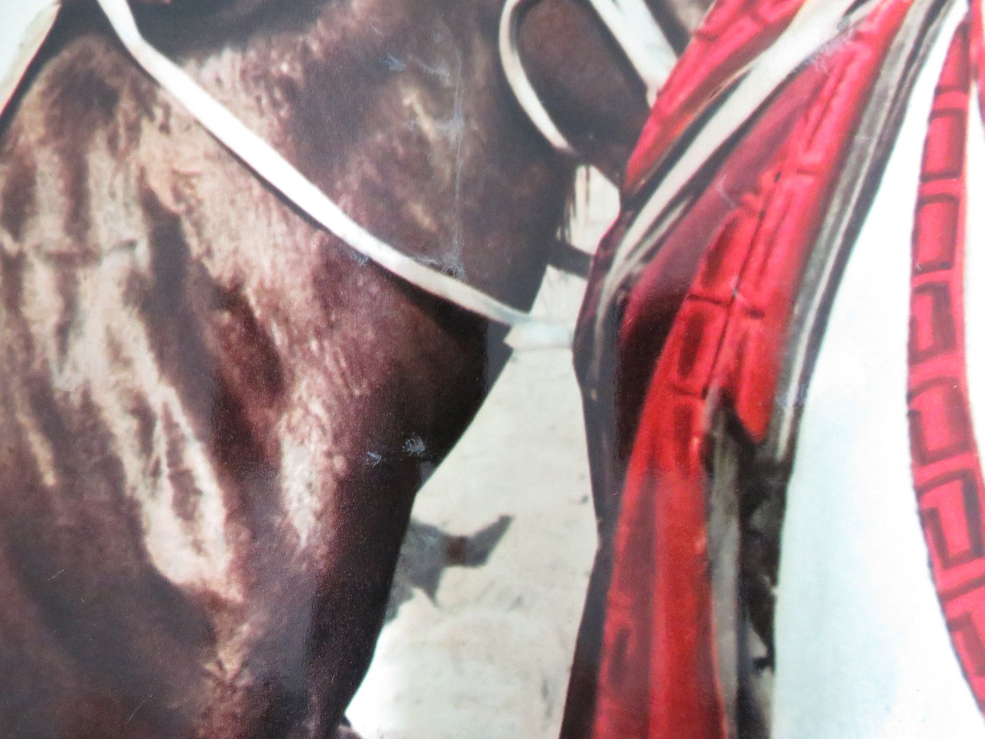 LOVE HAS MANY FACES - B ITALIAN FOTOBUSTA POSTER LANA TURNER C. ROBERTSON 1965 Rendezvous Cinema Movie posters