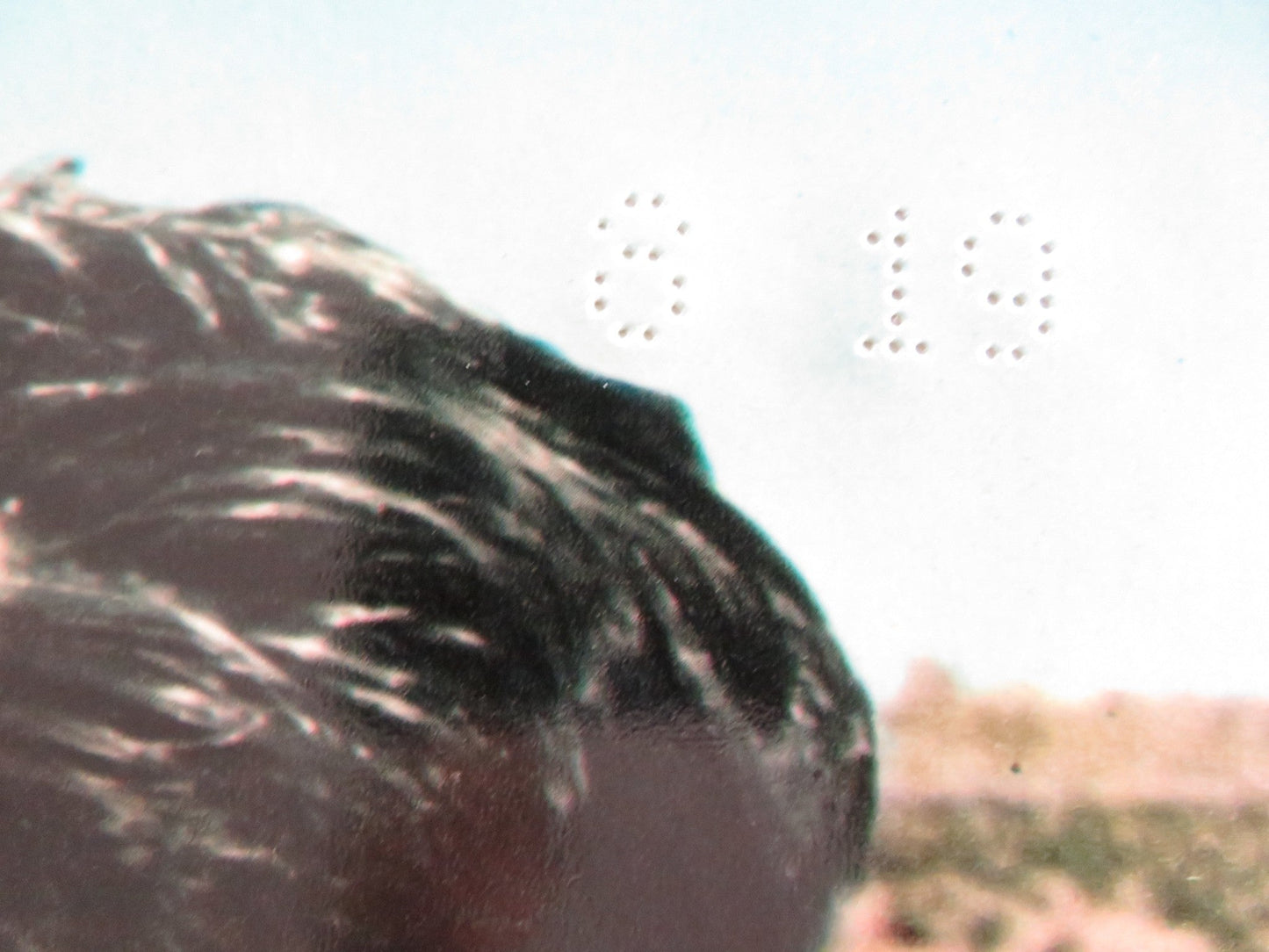 LOVE HAS MANY FACES - B ITALIAN FOTOBUSTA POSTER LANA TURNER C. ROBERTSON 1965 Rendezvous Cinema Movie posters