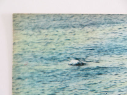 LOVE HAS MANY FACES - C ITALIAN FOTOBUSTA POSTER LANA TURNER C. ROBERTSON 1965 Rendezvous Cinema Movie posters