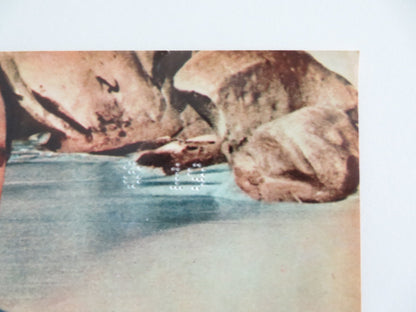 LOVE HAS MANY FACES - C ITALIAN FOTOBUSTA POSTER LANA TURNER C. ROBERTSON 1965 Rendezvous Cinema Movie posters