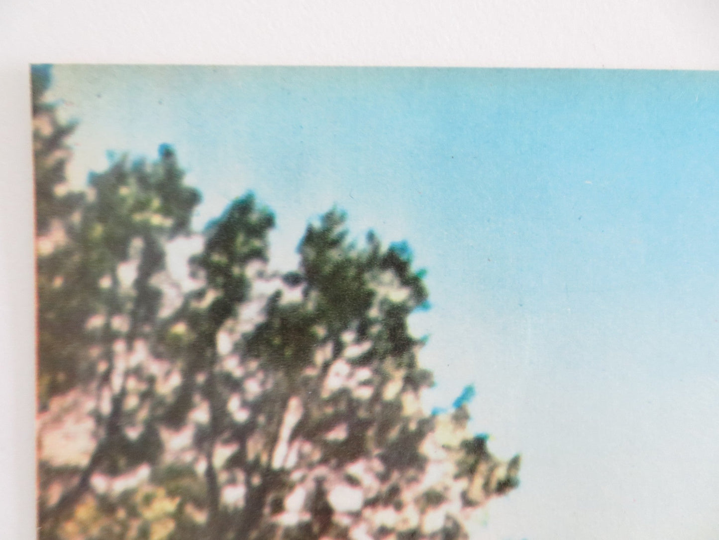 LOVE HAS MANY FACES - E ITALIAN FOTOBUSTA POSTER LANA TURNER C. ROBERTSON 1965 Rendezvous Cinema Movie posters